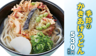 麺家  2025夏の新商品（季節のかき揚げ（夏））のご案内